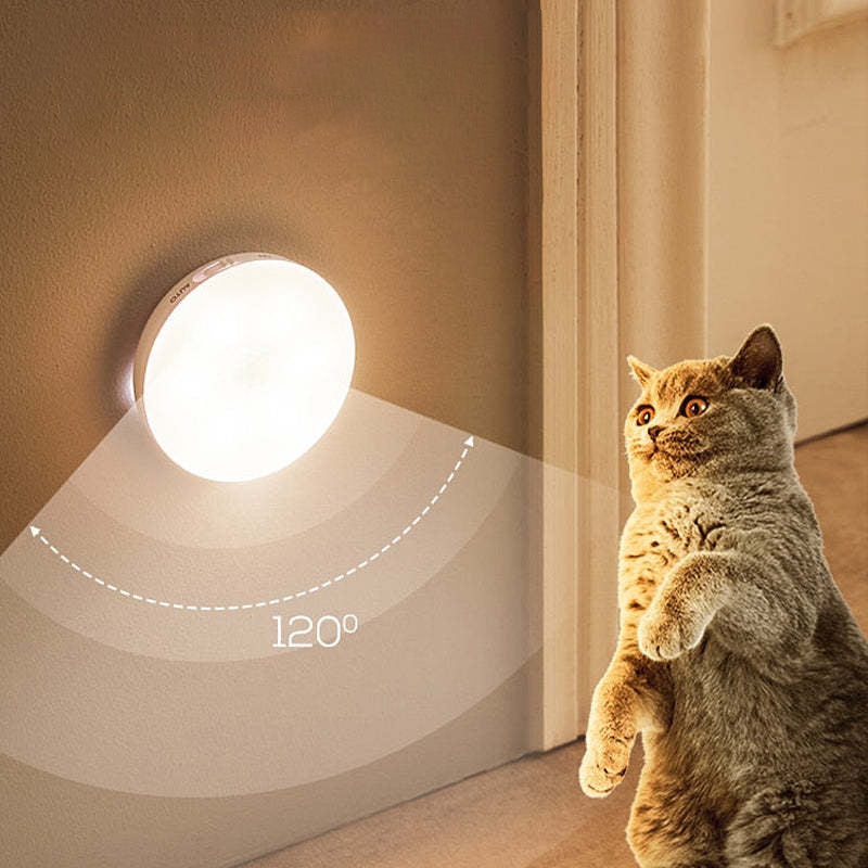 Arisha | Magnetic Sensor Wall Light with USB Power Source | Stylish Indoor Lighting for Bedrooms and Living Rooms 5