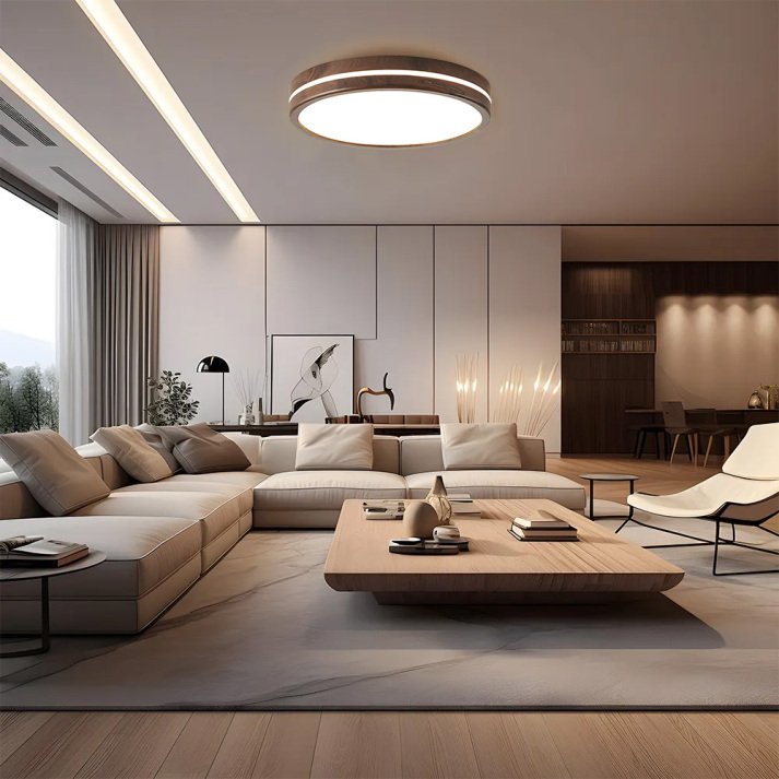 Naturalis | Elegant Minimalist Flush Mount Ceiling Light in Wood and Acrylic 1